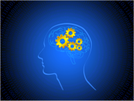 brain
