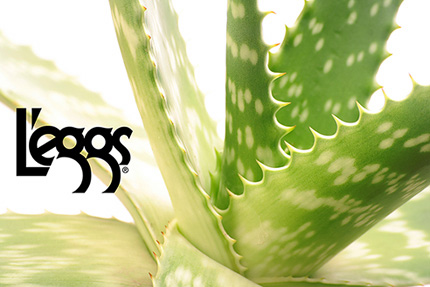 Reinventing Pantyhose with L'eggs