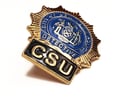 detective badge shutterstock_1388729 SMALL copy.jpg
